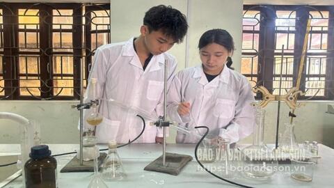 Nghiên cứu kháng ung thư từ dầu hồi