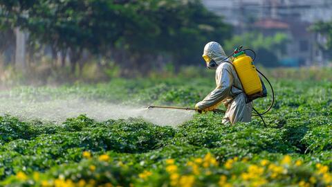 Cảnh báo dự thảo quy định của EU về chất hoạt tính thuốc bảo vệ thực vật