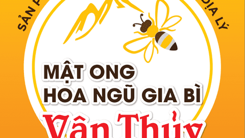 Chỉ dẫn địa lý: "Giấy thông hành" đưa nông sản đặc thù Lạng Sơn vươn xa