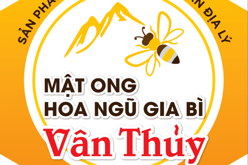 CDĐL Mật ong hoa Ngũ Gia bì Vân Thủy