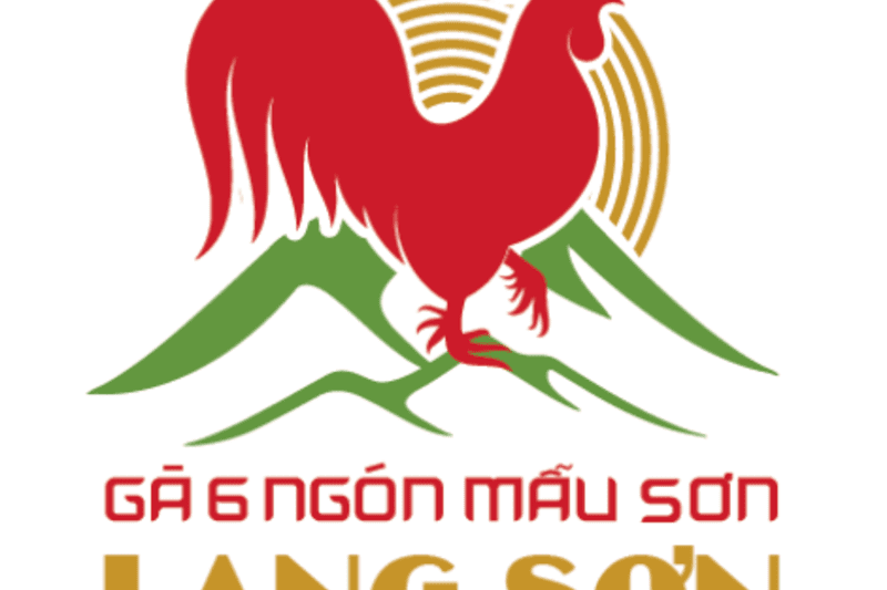 NHCN Gà 6 ngón Mẫu Sơn
