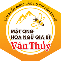 CDDL_Mat_ong_Van_Thuy_26a9e
