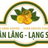 logo_NHTT_hong_vanh_khuyen_Van_Lang_a83d1