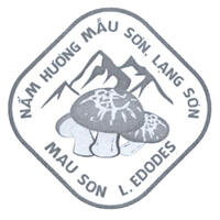 logo_NHTT_Nam_huong_Mau_Son_485b1