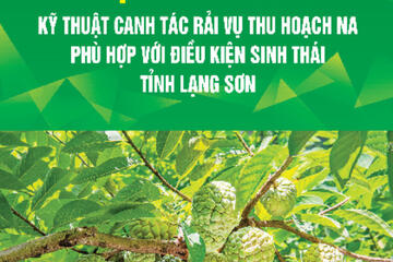 Quy trình kỹ thuật canh tác rải vụ thu hoạch na phù hợp với điều kiện sinh thái tỉnh Lạng Sơn
