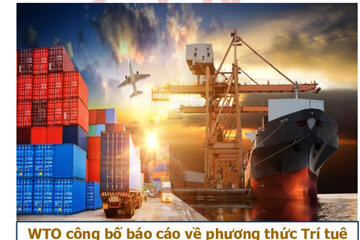 Bản tin số 2.11 năm 2024