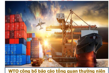 Bản tin số 2.12 năm 2024