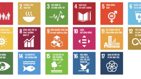 Hưởng ứng Ngày Sở hữu trí tuệ thế giới - IPDAY 2024: Sở hữu trí tuệ thúc đẩy đổi mới và sáng tạo - Hướng tới thực hiện các mục tiêu phát triển bền vững của Liên hiệp quốc