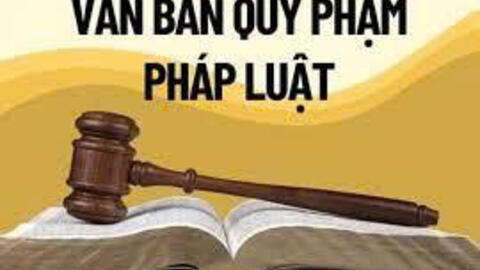 Chính phủ ban hành 02 Nghị định quy định chi tiết một số điều và biện pháp để tổ chức, hướng dẫn thi hành: Luật Tiêu chuẩn và quy chuẩn kỹ thuật; Luật Chất lượng sản phẩm, hàng hóa