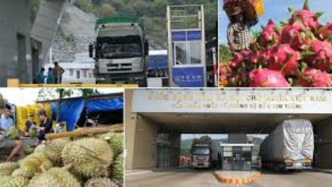 Thông báo thực thi quy định về quản lý đăng ký doanh nghiệp nước ngoài đối với thực phẩm nhập khẩu vào Trung Quốc; Thông báo dự thảo tiêu chuẩn quốc gia Trung Quốc về an toàn pin litium-ion