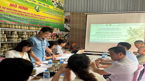 Sở Khoa học và Công nghệ tỉnh Lạng Sơn tổ chức kiểm tra tiến độ thực hiện năm 2026 đối với đề tài “Nghiên cứu quy trình chế biến quả mác mật sấy dẻo, bột gia vị và xốt gia vị từ lá và quả mác mật trên địa bàn tỉnh Lạng Sơn”