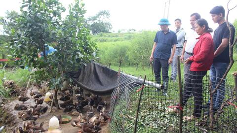 Sở Khoa học và Công nghệ kiểm tra tiến độ thực hiện nhiệm vụ ứng dụng kết quả nghiên cứu khoa học và công nghệ từ đề tài "Nghiên cứu bảo tồn và phát triển nguồn gen giống Vịt (vịt cổ xanh) Lạng Sơn"