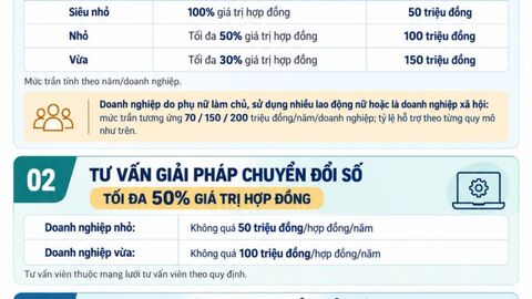 Sở Khoa học và Công nghệ hỗ trợ doanh nghiệp nhỏ và vừa nâng cao năng lực quản trị, chuyển đổi số