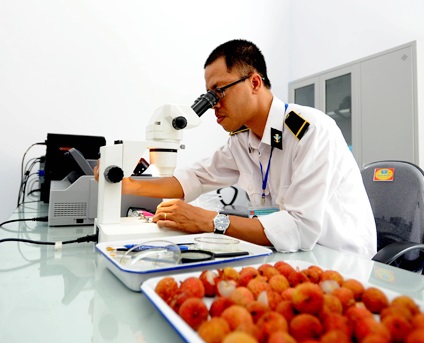 Description: Chiếu xạ kiểm dịch bảo đảm năng lực xuất khẩu trái cây của Việt Nam | Tạp  chí Năng lượng Việt Nam